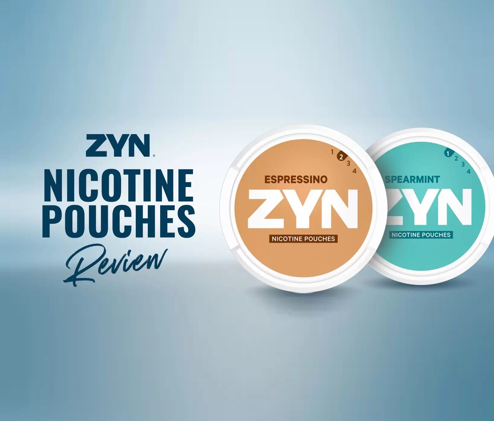research on zyn pouches