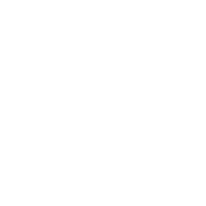 World vape show partner logo